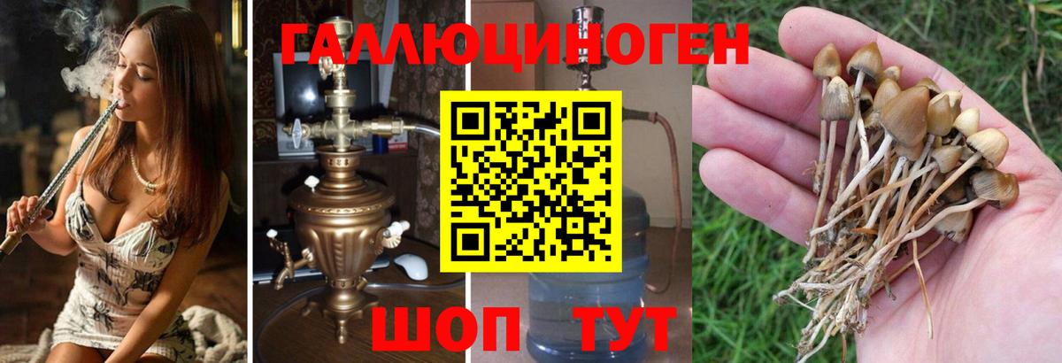 Псилоцибиновые грибы мухоморы  Вход с VPN  Кировск  Псилоцибиновые грибы MAGIC MUSHROOMS 