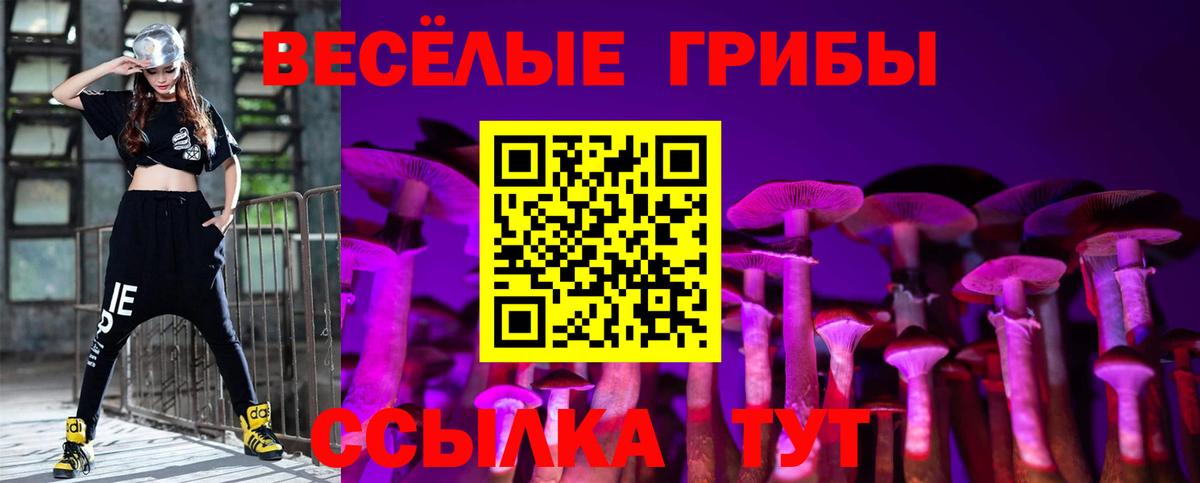 Псилоцибиновые грибы MAGIC MUSHROOMS Кировск